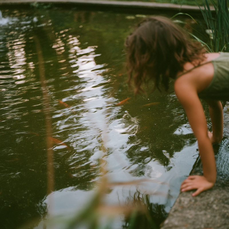 Kind buigt voorover boven een vijver met oranje koivissen tussen rietplanten en waterreflecties